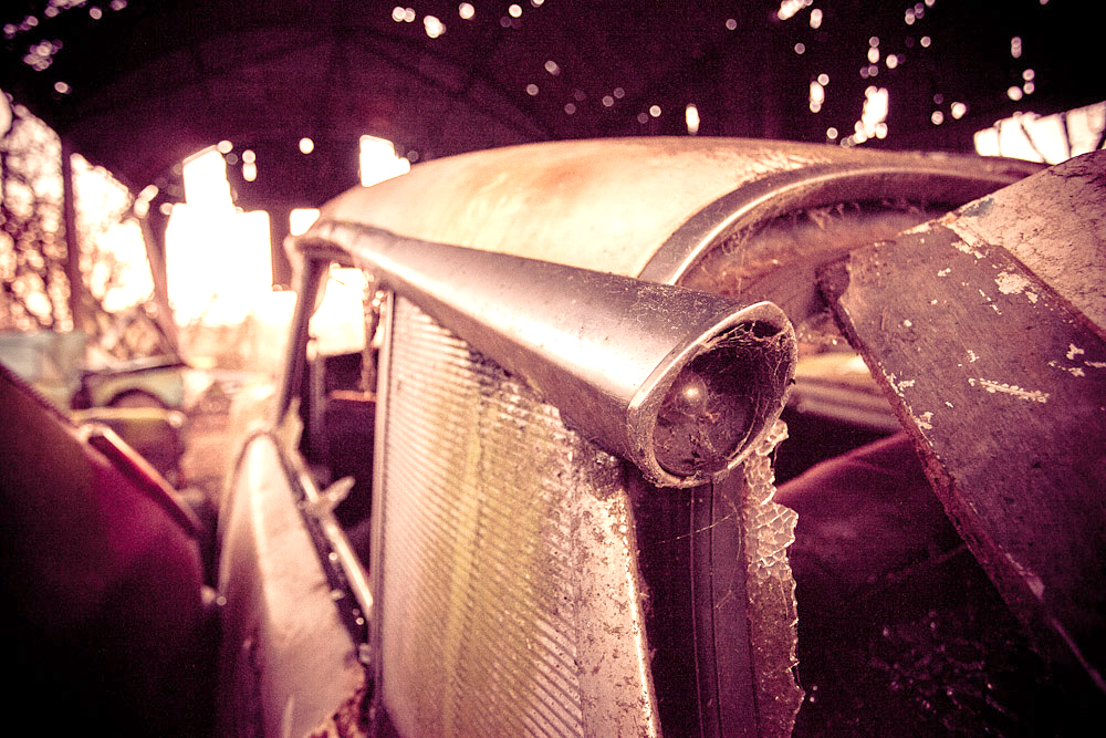 The Hoarder’s House