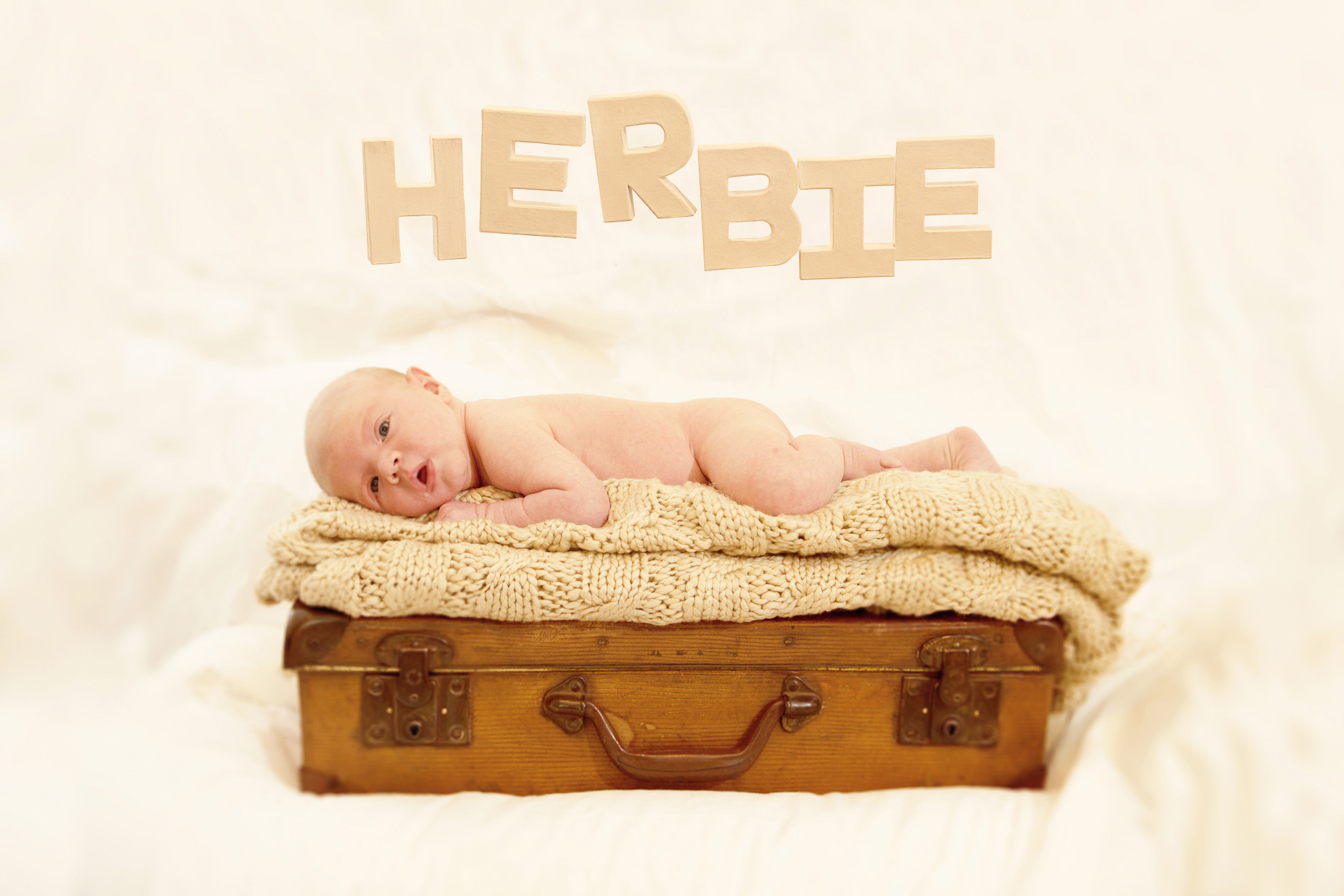 Meet Baby Herbie!